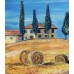“Bright Sun of Tuscany” – Original Painting by Marina Stognieva